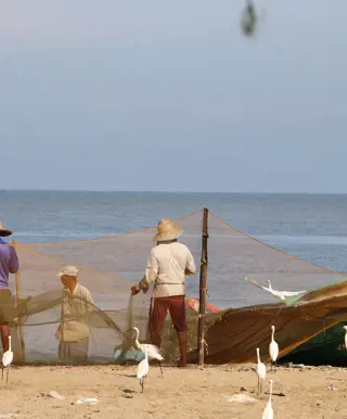 Erlebe das bunte Hafenleben